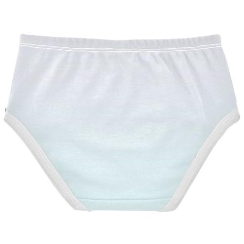 Joisal Stylish Toddlers Underwear Floral 2t Cotton Panties Little Girl Ombre Cyan Gradient Briefs Kids Undies2