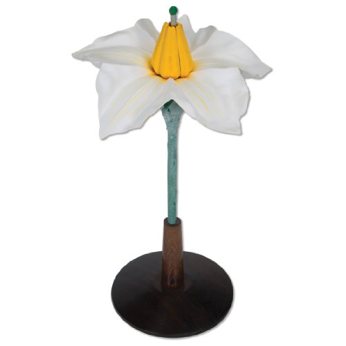 Image of 3B Scientific T21014 2 Part Potato Flower (Solanum Tuberosum), 15 inch Height