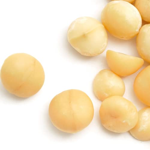 [zibc] }J_~Aibc 150g 300g  Y fĂ  z ibc `bNt ibcX (300g)