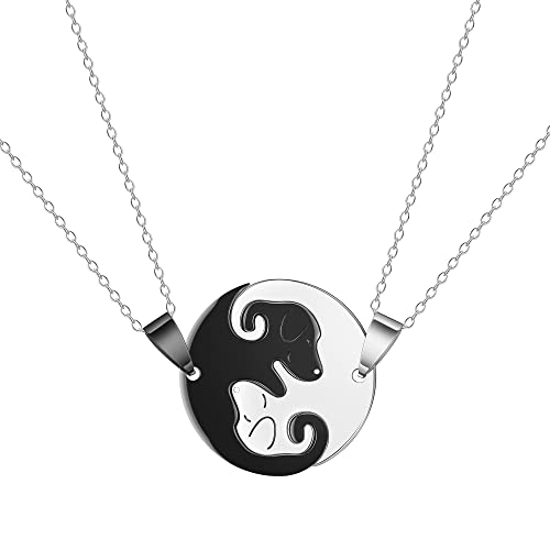 Collares para parejas de gatos en acero inoxidable y amazonita