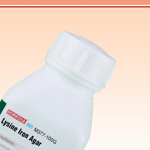 HiMedia M377-100G Lysine Iron Agar, 100 g
