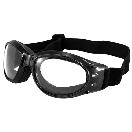 Birdz Eagle Interchangeable Kit Motorcycle Biker Goggles Comes with 3 Lenses and a Case