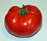 Jetstar Tomato Seeds - 200 Count Seed Pack - Non-GMO -Jet Star is a Prolific Variety That Produces an Abundance of Super Sweet, Medium-Sized Tomatoes. - Country Creek Acres