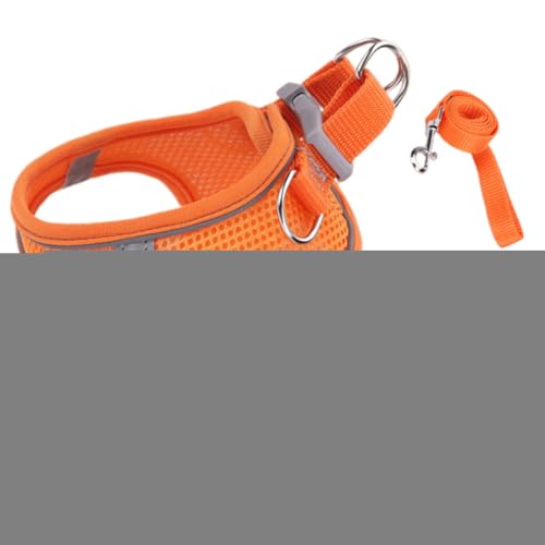 Jnilepfd sp Lp n[lX | \tgbVxXg ːSXgCvt,^^^ ybgpxXg Ug[jOsAEghApi