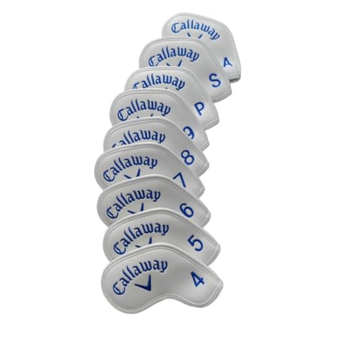 Figoday ACAZbg }OlbgJ9_Zbg NuԍxtϋvStNuwbhJo[ tFAEFCEbh/hCo[fveN^[ 4_ZbgɑΉ (xN,Ɛ) [sAi]