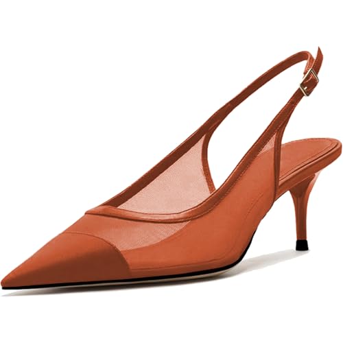 Image of Mesh Kitten Heels for Women Slingback Design with Pointed Toe Breathable and Stylish Elegant Low Heel for Comfort