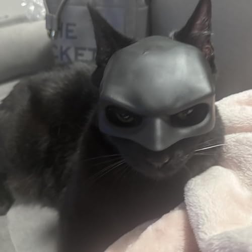 Cat Mask Cosplay, Cat Halloween Costumes, Funny Cat Costumes Accessories (Large) - Image 5