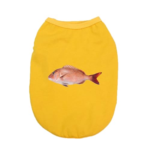 CNJKS ���� �t �� �ĕ� 2XL ���^�� ���� �^���N�g�b�v ���킢�� �h�b�O�E�F�A ������ �_�炩�� ���̎q �j�̎q �ʋC���悢 �V���c �ėp ���� ���^�� ��^�� ���� ���^���^��^���� ����̒��p ���L�p �f�U�C��1 ���L�m��