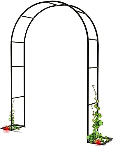 Cadre d'escalade pour plantes grand format contre le vis-à-vis - 2
