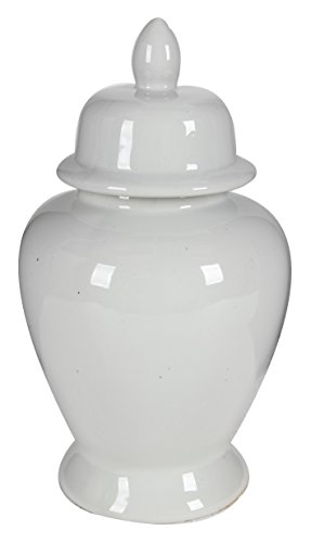 Benzara, White BM165656 Decorative Porcelain Ginger Jar with Lidded Top, Medium
