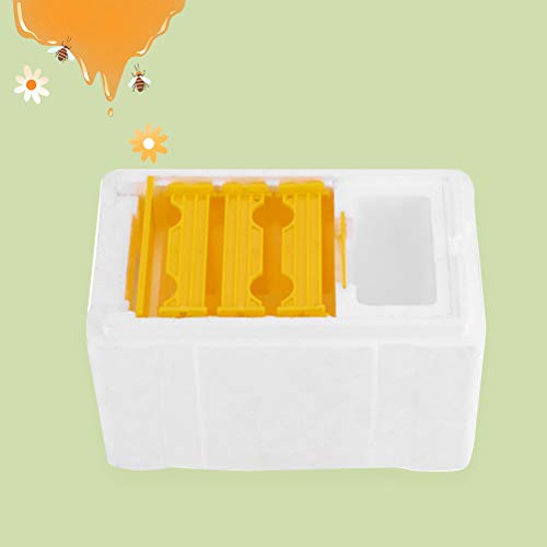 Yardwe Bienenstock Bienenbox Bienenkasten Schaum Bienenkönigin Box Bienenzucht Zubehör Imkerei Werkzeug für Imkerstarter – Bild 4