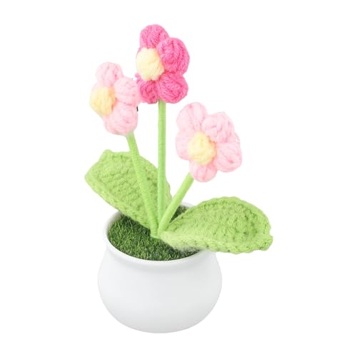 Gdfnmogo Maceta de lana tejida a mano con diseño de ganchillo, decoración del hogar de bajo mantenimiento para estanterías, repisas y mesas de café con estética natural (rosa)