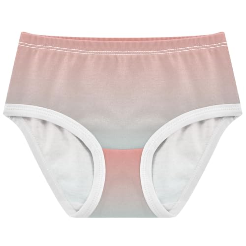 Joisal Girls Underwear Toddlers 2t Cotton Panties for Girl Artistic Underpants Briefs Coral Pink Pale Turquoise Gradient