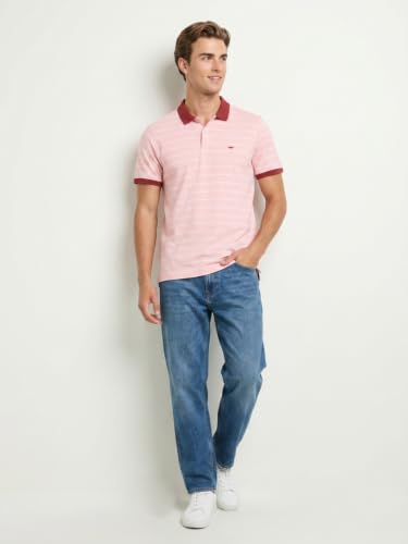 Image of Park Avenue Men Slim Fit Stripe Pattern Pure Cotton Polo Neck Half Sleeve Casual T-Shirt