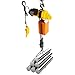 2200lbs Electric Chain Hoist & 1 Ton Overhead Crane, 1300W 110V Electric Hoist with Lifting Height and Remote Control, Capacity for Garage Warehouse Construction and Industrial Lifting