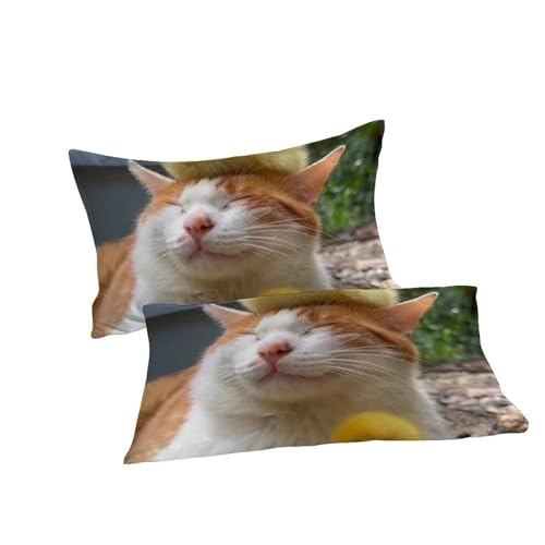 Housse de couette 220x240cm sans repassage Animaux Land microfibre zippée