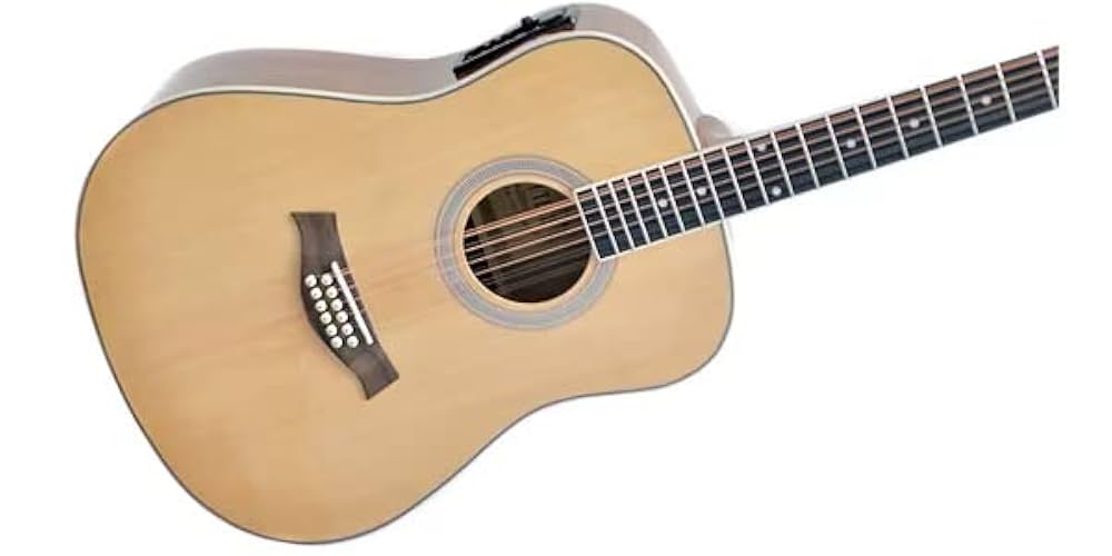 ギター play acoustic Amazon | PLAYTECH (プレイテック) 12弦エレクトリック