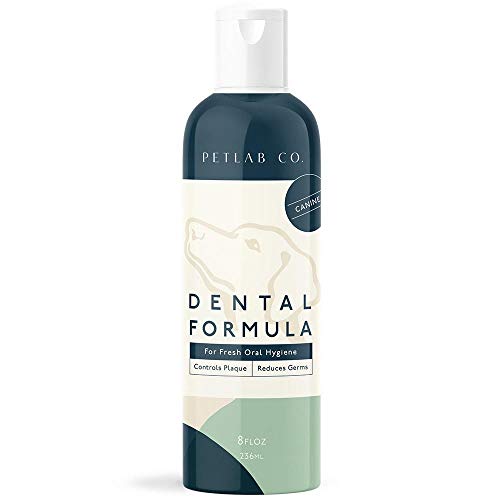 Dog Mouth Hygiene hygienic Tips