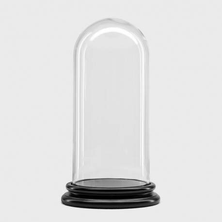 Cloche en verre Ø 8 cm x H 19 cm anti-poussière avec socle en bois noir robuste