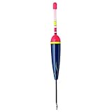 Jenzi Angeln Aal Knicklicht Laufpose - 8g No.1 Friedfisch Pose Angeln, Tragkraft kg:8.0, Länge cm:22.0