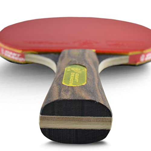 Raquete Tênis Mesa 5 estrelas Top Energy Giant Dragon ITTF