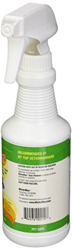 Mistermax Stain Remover "Pint" #TOP2