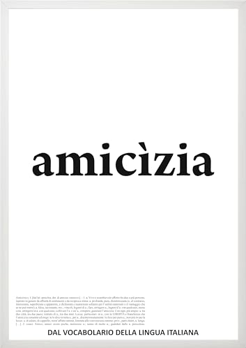 Social Crazy GLOBAL POSTER CON CORNICE DIZIONARIO - AMICIZIA -