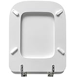 Photo Gallery sedile copriwater dedicato per conca ideal standard bianco laccato Photo Gallery sedile copriwater dedicato per conca ideal standard bianco laccato