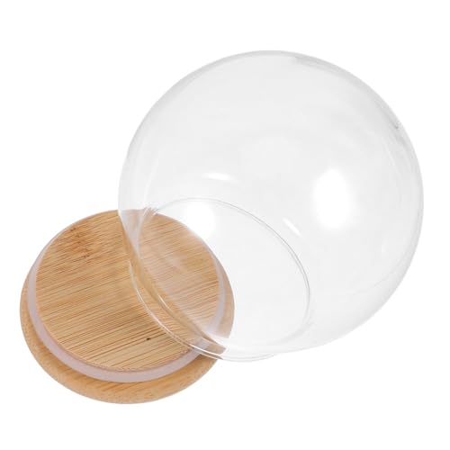 NUOBESTY Cupola in Vetro con Base in Bambù e Silicone, Globo di Neve Fai da Te con Teca Espositiva per Decorazione Romantica e Protezione Dalla Polvere