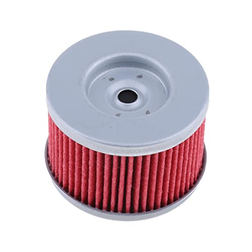 Amagogo Repuesto de Filtro de Aceite para TRX420 07-17 XL125 V 01-08, 2 piezas
