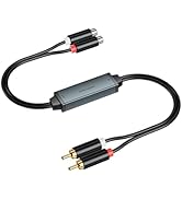 Amazon.co.jp: eppfun AK3040 PLUS PS5 PC Switch 用 APTX-Adaptive