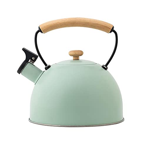 Tetera de acero inoxidable 3L color verde miniatura 1