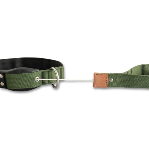 WowWow Advanced Khaki Hundehalsband mit Leine - Metallverschluss - Größe S 33-38 cm, innovatives Halsband mit - bekannt aus der Höhle der Löwen (S)