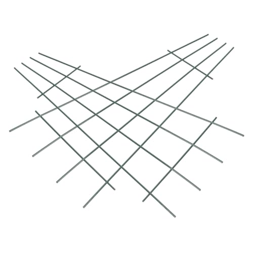 CAXUSD 2stücke Pflanzenstütze Für Kletterpflanzen Eisen-rankhilfe Für Garten Und Indoor Stabiler Pflanzensupport Für Blumen Und Gartenpflanzen