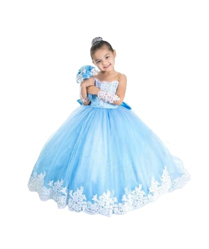 Light Blue Flower Girl Dress for Wedding Applique Long Sleeves Kids Prom Ball Gowns for Birthday Party