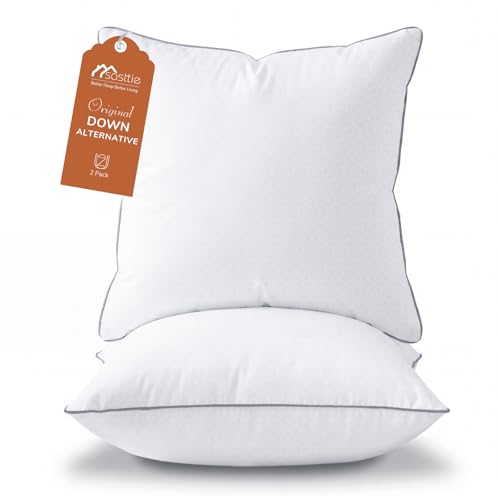 Sasttie 17x17 Throw Pillow Inserts Set of 2, Square Pillows