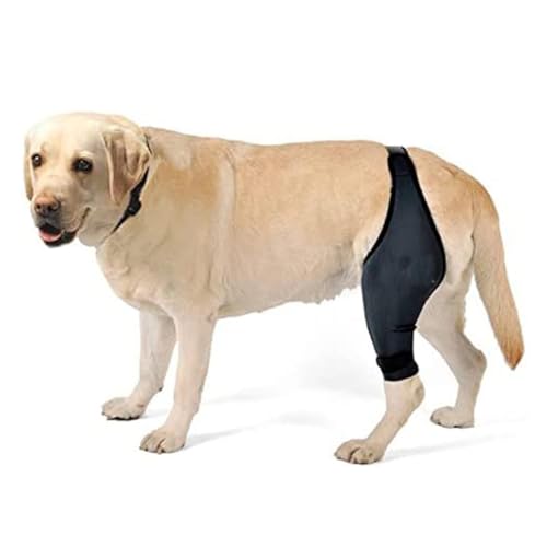 Support genouillère pour patte blessée chiens et attelle jambe arrière - 5