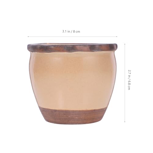 Mini Pots en Céramique Faits pour Durer : Les Jardinières Abaodam Premium - 3