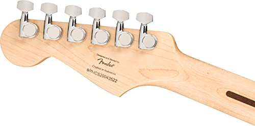 Fender Squier Bullet Stratocaster Ht - Dakota Red Bundle With Frontman 10G Amplifier, Gig Bag, Instrument Cable, Tuner, Strap, Picks, And Austin Bazaar Instructional Dvd #TOP6