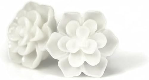 Miniatura 16 de Aretes hipoalergénicos de suculentas Pretty Smart para orejas sensibles