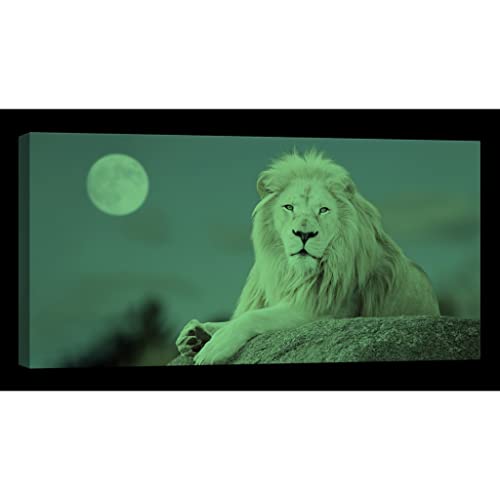 Tableau animaux DCA078-3 phosphorescent de 60x120 cm pour deco salon moderne