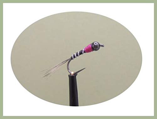 Perdigon Nymph, BARBLESS, 6 Pack BLACK Tungsten Bead, Grayling and Trout, (14)