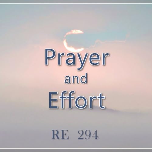 Prayer and Effort || RE 294 || Dr. Alok Pandey