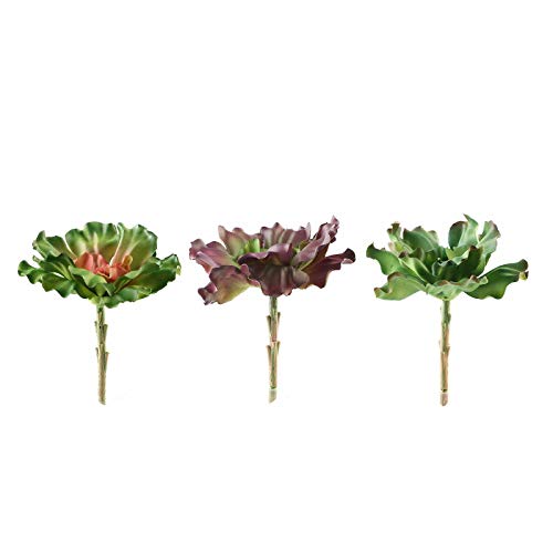 Balsa Circle 3 pcs 6-Inch tall Assorted Echeveria Rosettes Artificial Faux Succulent Picks Sprays Stems Wedding Decorations Supplies Supplies