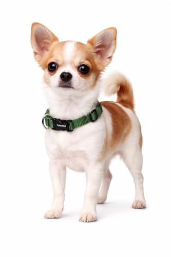 Collier Chien - Collier Ziggi Kaki - Taille XXS - 15-25 cm x 10 mm - Nylon réglable - Anneau métal Nickel