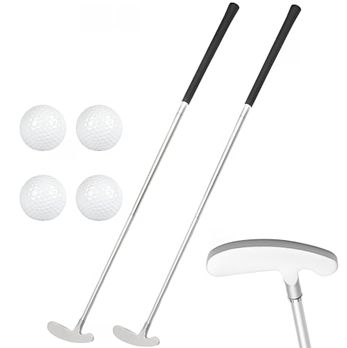Putter de golf bidirectionnel amovible pour animer vos après-midis