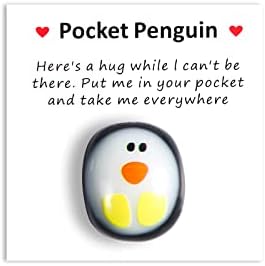 TOYMIS Mini Animal Pocket Hug Penguin, Cute Glass a Little Pocket Penguin Hug Me with Encouraging Greeting Card Mini Penguin Toy Ornament Decoration Gift of Encouragement (Style 1)