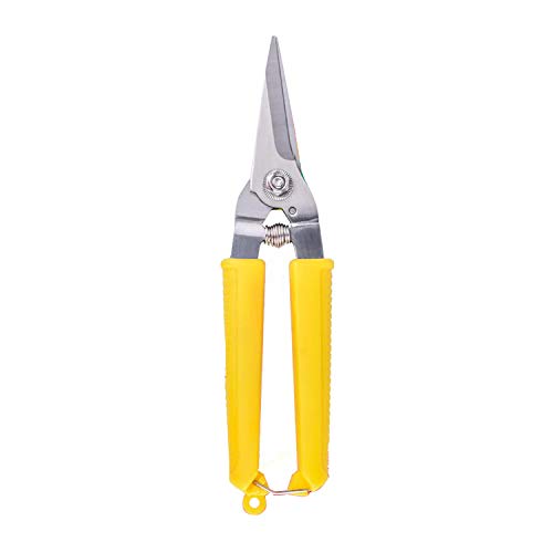 Image of Mario Scissors for Gardening /Purnning Work - 8.26 inch / 210 mm - Strong Cutting Scissors, Safe to Handel - Premium Stainless Steel Blade Scissors - MGS 700