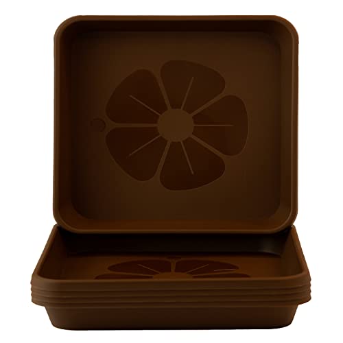 Home Garden Ornaments Plato Maceta Cuadrado 29x29cm Marrón Oscuro Juego de 5 – Duradero Platos Macetas Plastico - Platos para Macetas para Exteriores e Interiores (29x29cm, Marrón Oscuro)