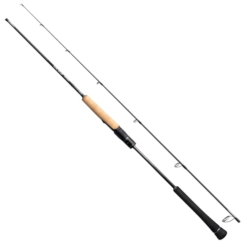 V}m(SHIMANO) WMObh 25 IVAWK[ RZvgS S62-2